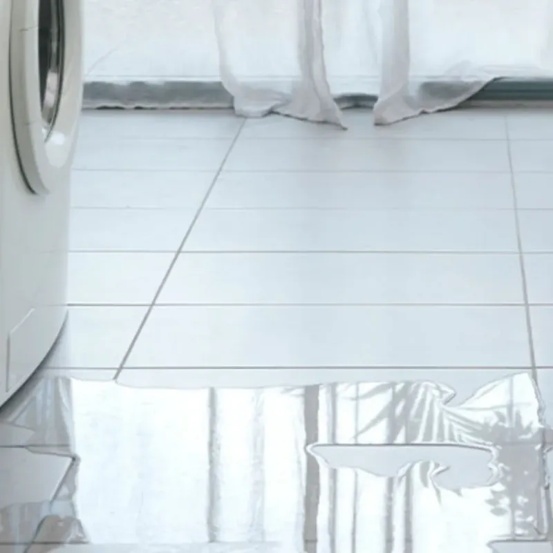 Appliance Leak Cleanup in Laguna Beach, FL