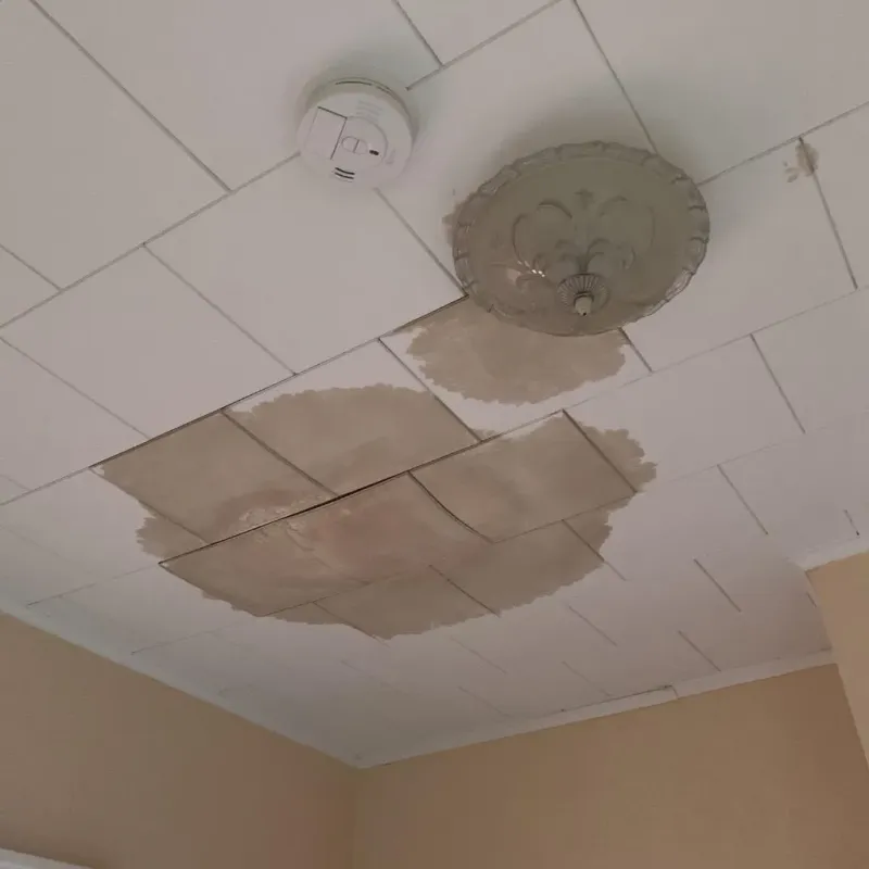 Ceiling Water Damage Repair in Laguna Beach, FL
